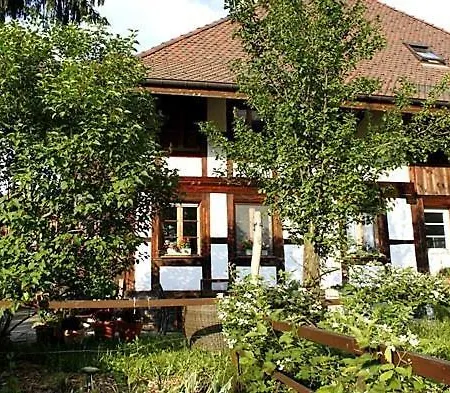 Saba & Jona Apartment